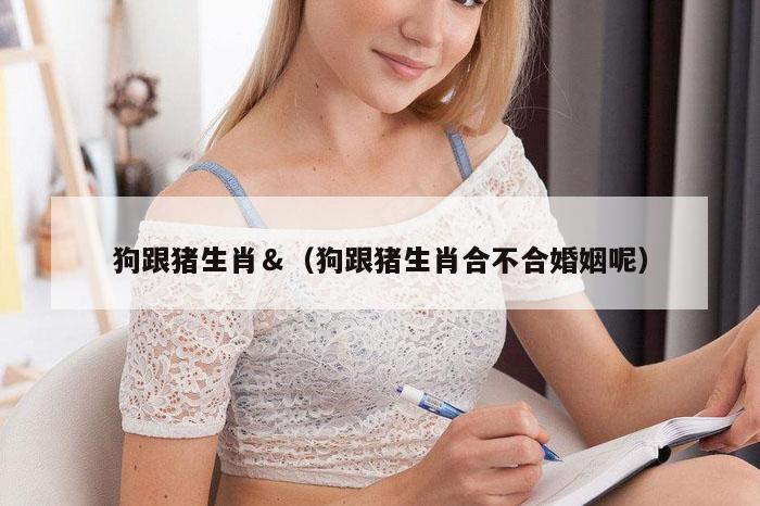 狗跟猪生肖＆（狗跟猪生肖合不合婚姻呢）